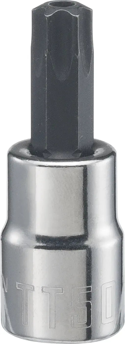 View of CRAFTSMAN Sockets: Torx on white background